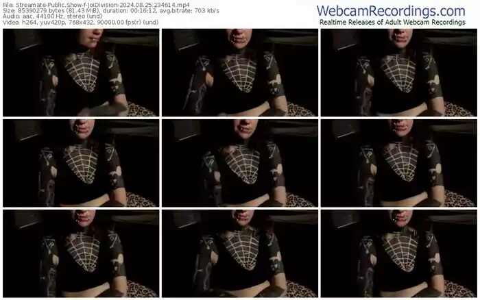 streamate-joidivision-08-25-2024-23-46-14
