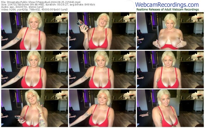 streamate-poppybud-08-25-2024-21-59-40