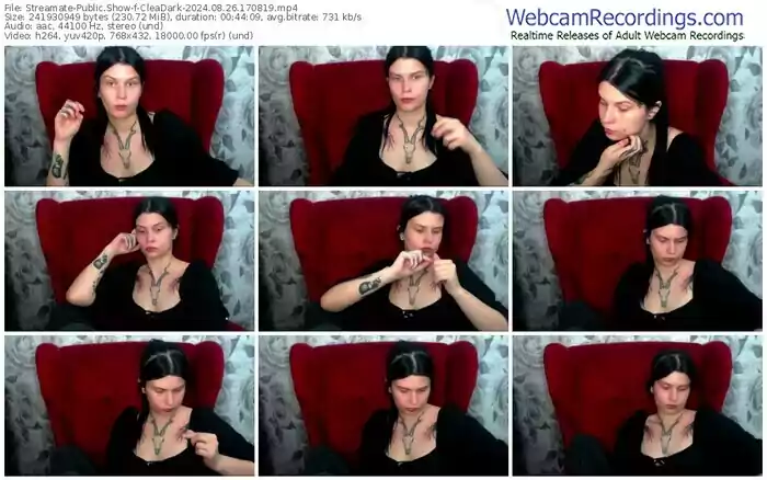 streamate-cleadark-08-26-2024-17-08-19