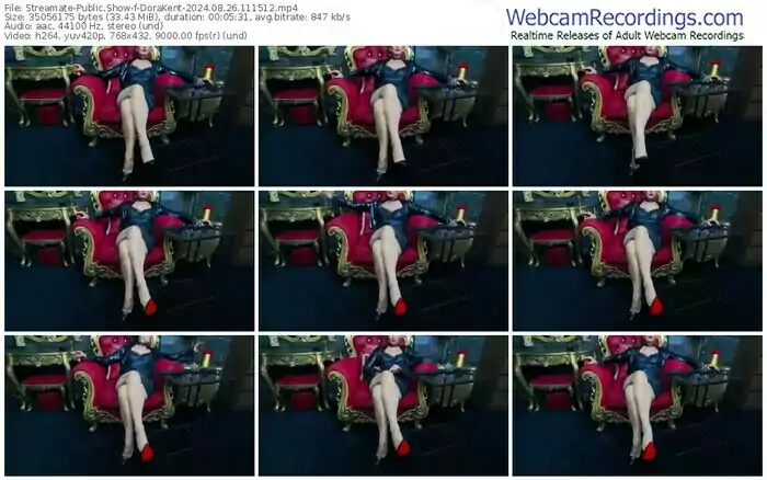 streamate-dorakent-08-26-2024-11-15-12