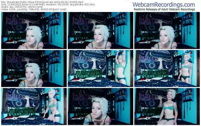 streamate-missquincam-08-26-2024-13-24-45