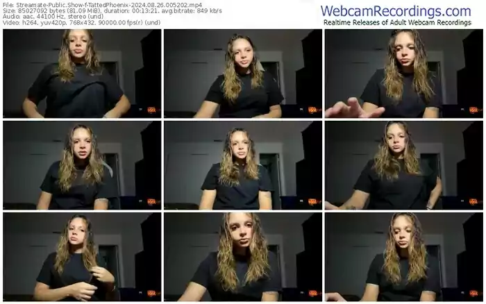 streamate-tattedphoenix-08-26-2024-00-52-02