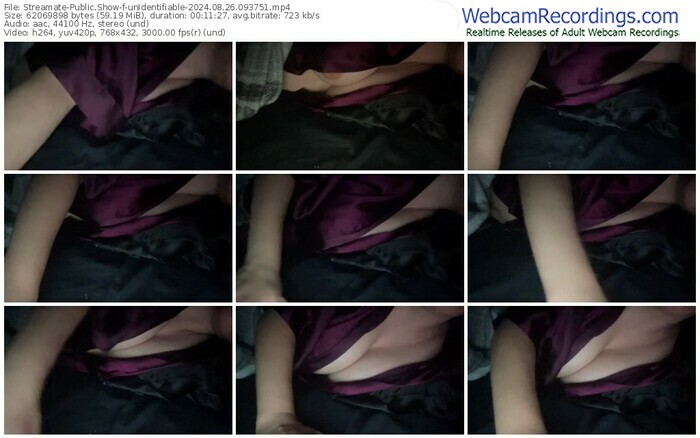 streamate-unidentifiable-08-26-2024-09-37-51