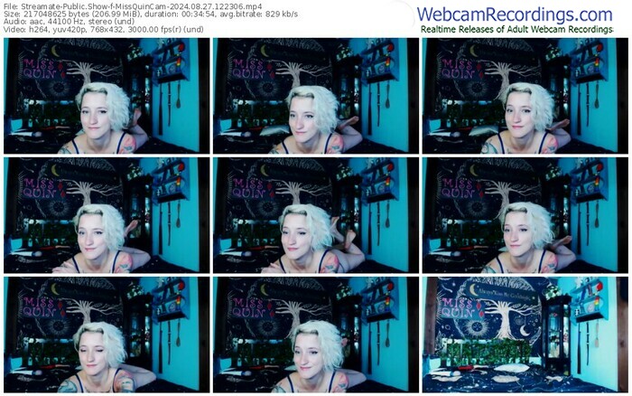 streamate-missquincam-08-27-2024-12-23-06