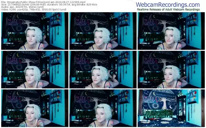 streamate-missquincam-08-27-2024-12-23-06