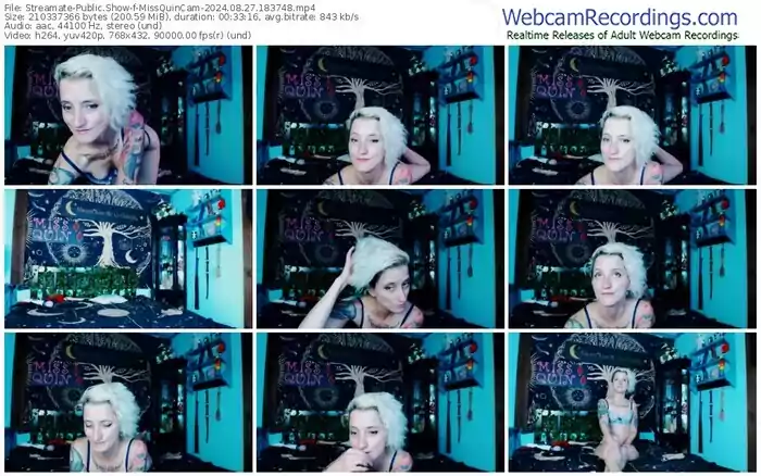 streamate-missquincam-08-27-2024-18-37-48