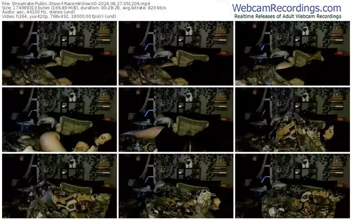streamate-ravenwillowxo-08-27-2024-05-12-06