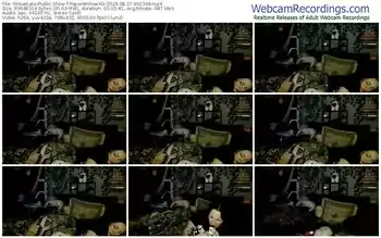 streamate-ravenwillowxo-08-27-2024-09-23-48