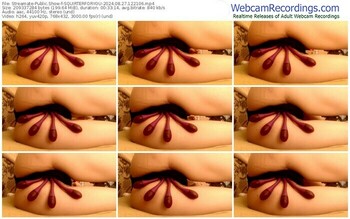 streamate-squirterforyou-08-27-2024-12-21-06