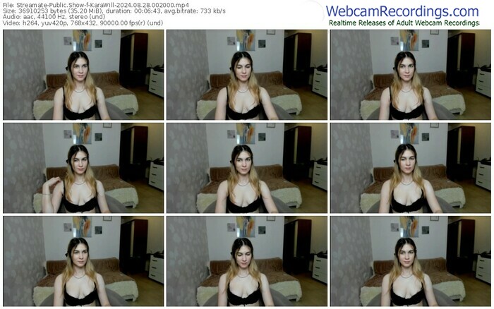 streamate-karawill-08-28-2024-00-20-00