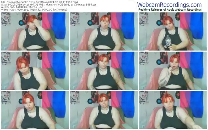 streamate-kattixo-08-28-2024-11-19-07