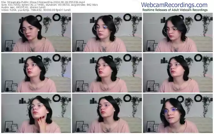 streamate-noreendia-08-28-2024-05-53-39