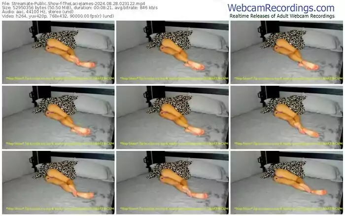 streamate-thelaciejames-08-28-2024-02-31-22