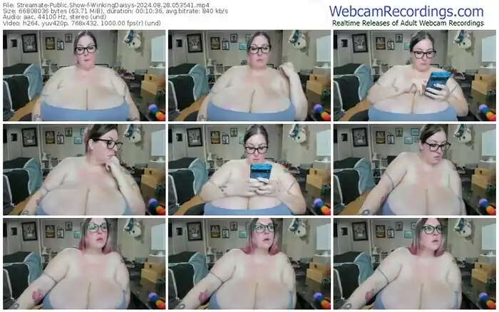 streamate-winkingdaisys-08-28-2024-05-35-41