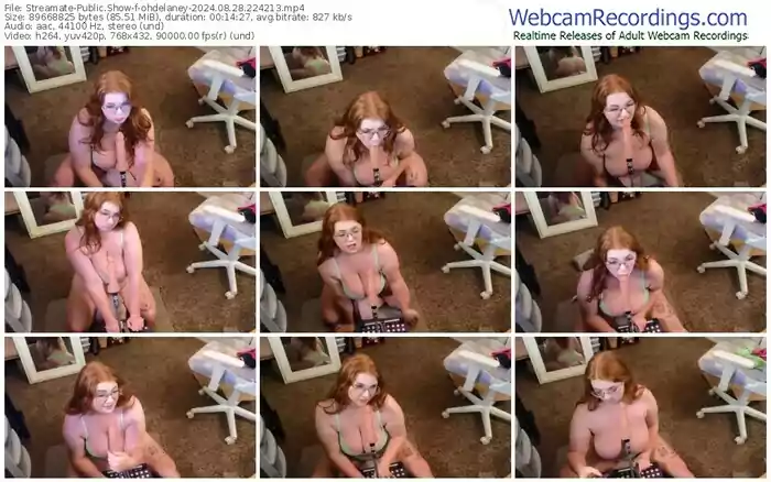 streamate-ohdelaney-08-28-2024-22-42-13