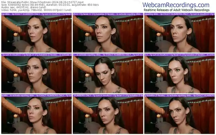 streamate-destinev-08-29-2024-15-37-27