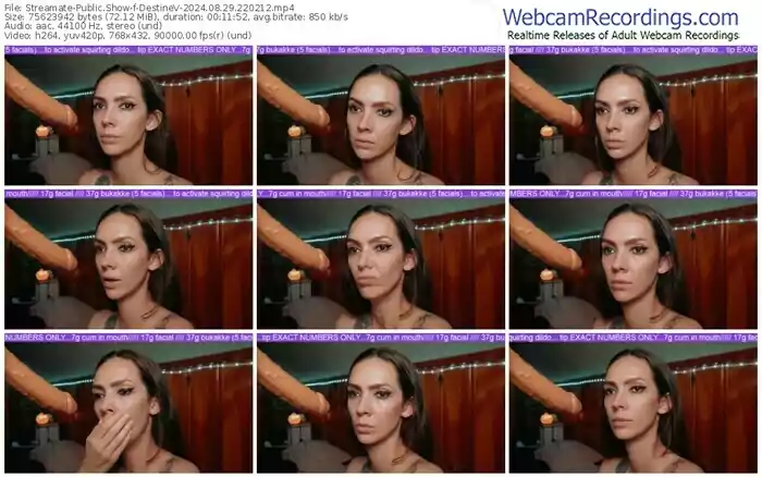 streamate-destinev-08-29-2024-22-02-12