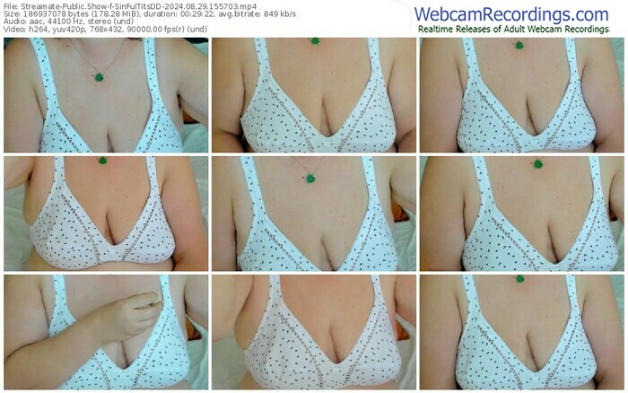 streamate-sinfultitsdd-08-29-2024-15-57-03