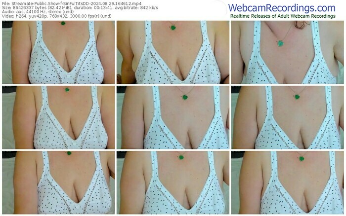 streamate-sinfultitsdd-08-29-2024-16-46-12