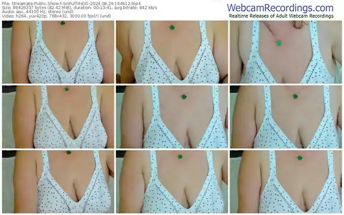 streamate-sinfultitsdd-08-29-2024-16-46-12