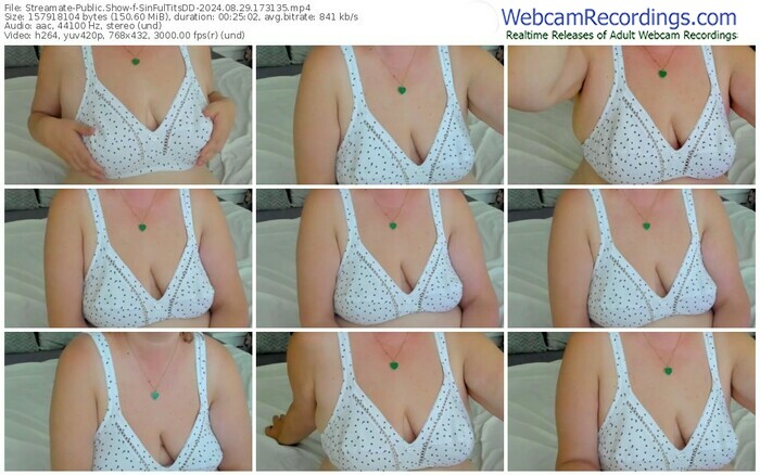 streamate-sinfultitsdd-08-29-2024-17-31-35