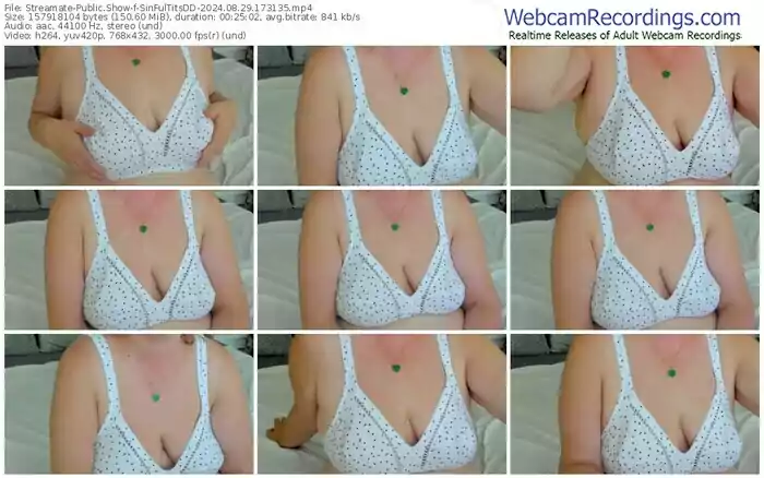 streamate-sinfultitsdd-08-29-2024-17-31-35