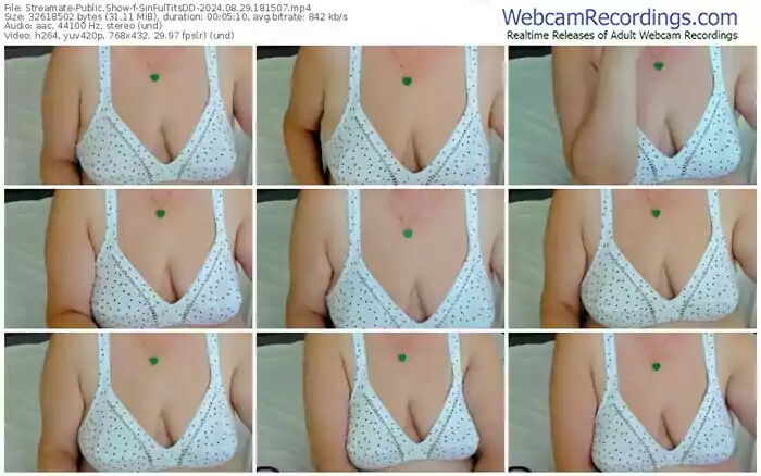 streamate-sinfultitsdd-08-29-2024-18-15-07