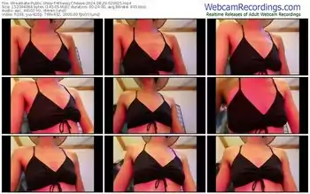 streamate-wheezycheese-08-29-2024-02-36-25