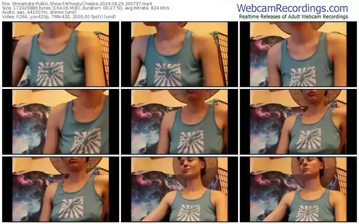 streamate-wheezycheese-08-29-2024-20-07-37