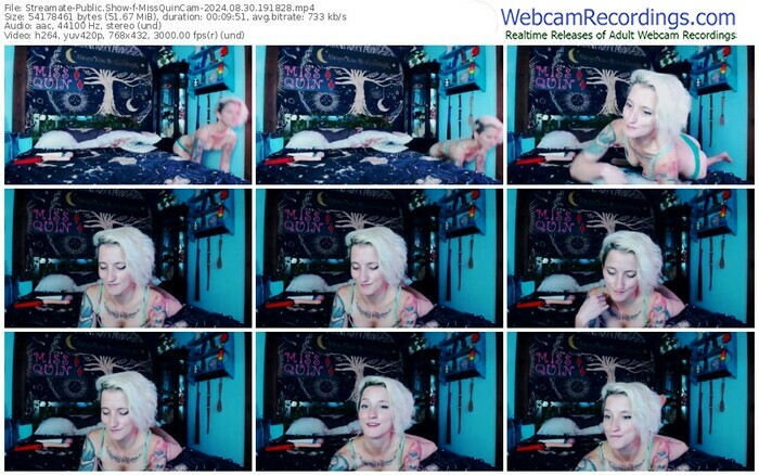 streamate-missquincam-08-30-2024-19-18-28