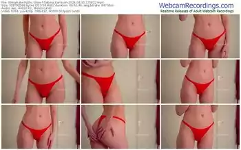 streamate-sabina_karlsson-08-30-2024-22-58-22