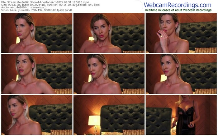 streamate-anemarieart-08-31-2024-12-06-36