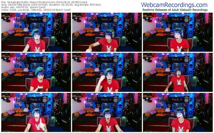 streamate-punkunicorn-08-31-2024-00-38-15