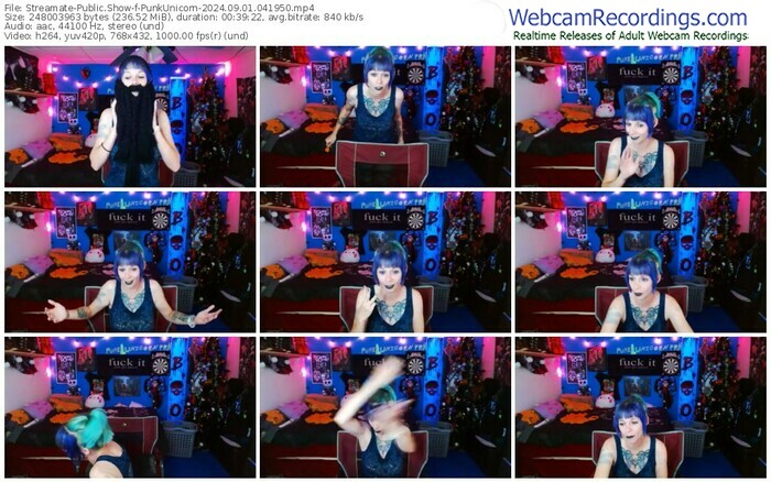 streamate-punkunicorn-09-01-2024-04-19-50