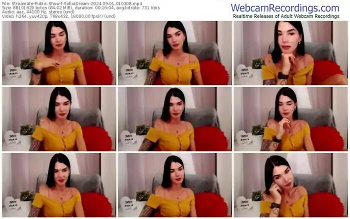 streamate-sofiiadream-09-01-2024-01-03-08