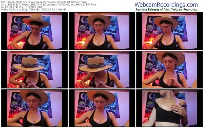 streamate-wheezycheese-09-01-2024-00-20-43