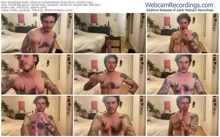 streamate-hideandseek-09-01-2024-19-56-04