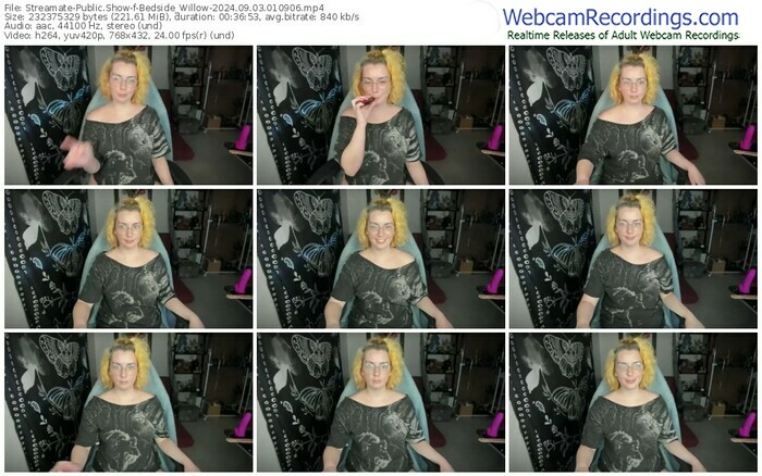 streamate-bedside_willow-09-03-2024-01-09-06