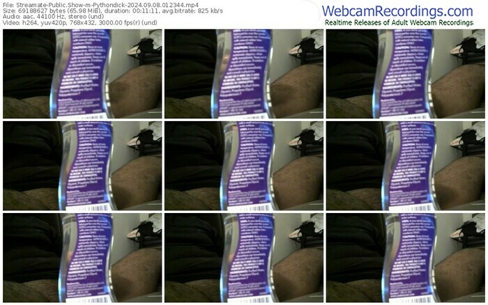 streamate-pythondick-09-08-2024-01-23-44
