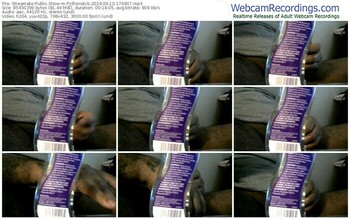 streamate-pythondick-09-10-2024-17-09-07