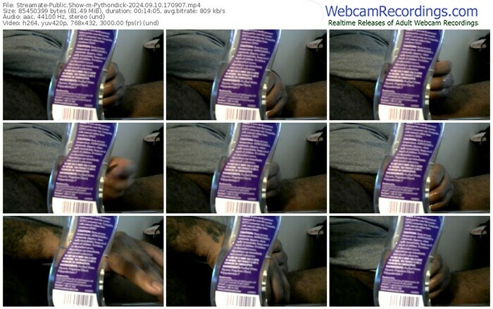 streamate-pythondick-09-10-2024-17-09-07