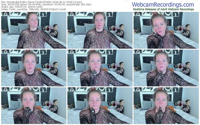 streamate-sinfultitsdd-09-11-2024-00-01-13