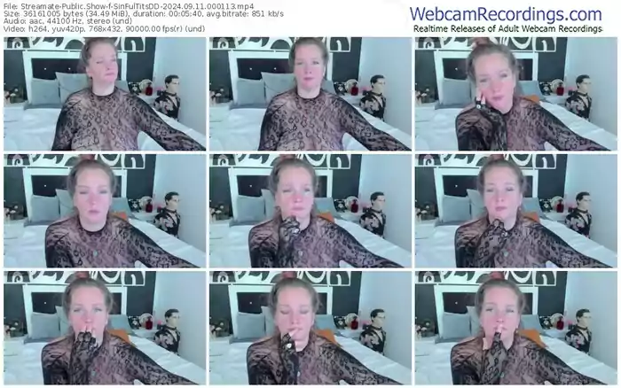 streamate-sinfultitsdd-09-11-2024-00-01-13