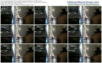 streamate-pythondick-09-11-2024-04-46-45