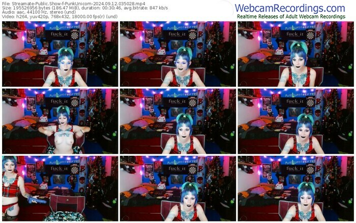 streamate-punkunicorn-09-12-2024-03-50-28