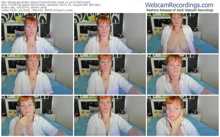 streamate-sinfultitsdd-11-24-2024-20-34-33