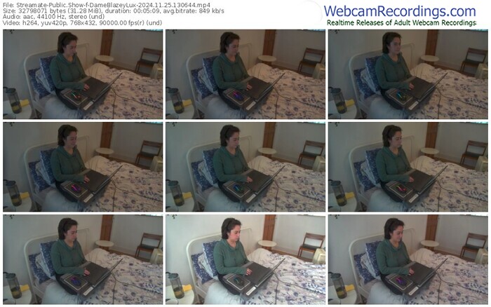 streamate-dameblazeylux-11-25-2024-13-06-44
