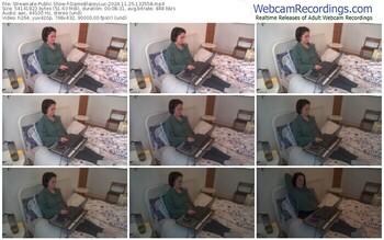 streamate-dameblazeylux-11-25-2024-13-25-58