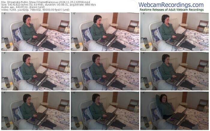 streamate-dameblazeylux-11-25-2024-13-25-58