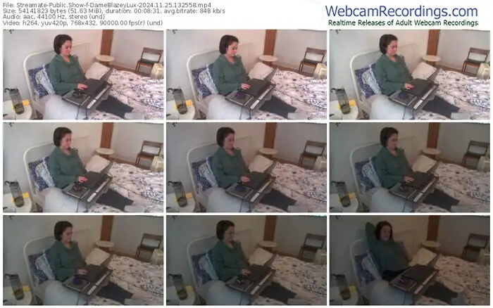 streamate-dameblazeylux-11-25-2024-13-25-58